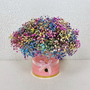 gispsofila-miks-v-korobke-9-sht