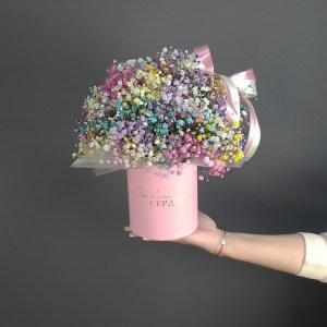 miks-iz-gipsafil-v-korobke-(-11vetok)-17