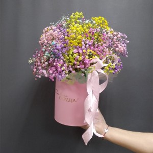 raduzhnaya-gipsafila-v-korobke-2-(-9-vetok)2